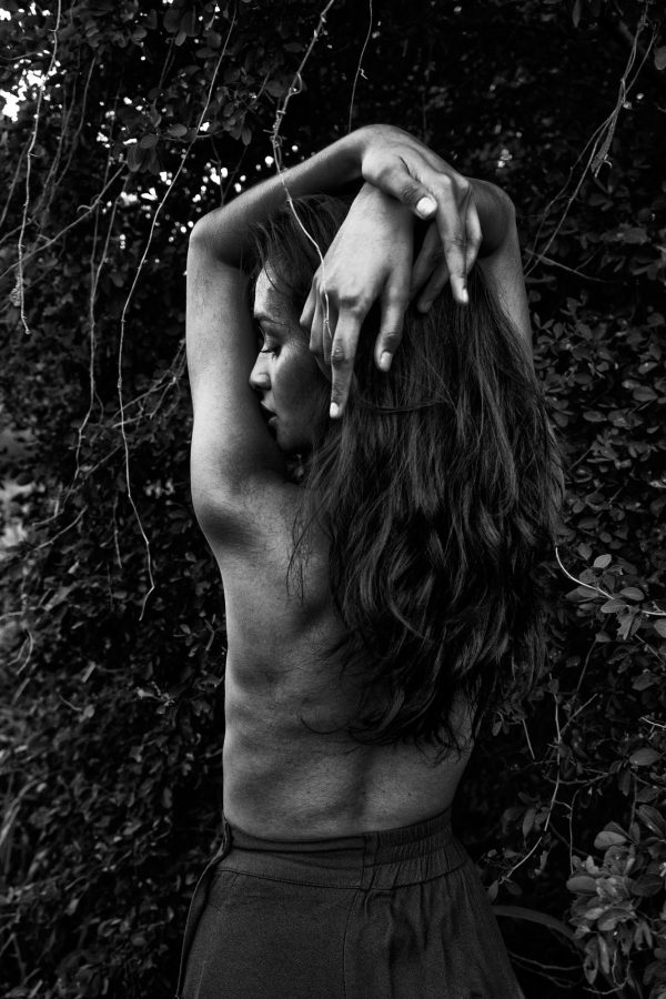 A thing with feathers